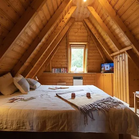 With 1 Bedroom